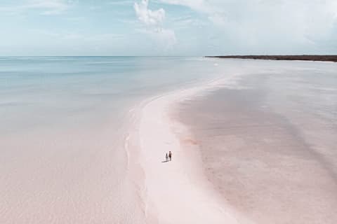 Holbox Tour with Ferry transportation and lunch included — photo 4
