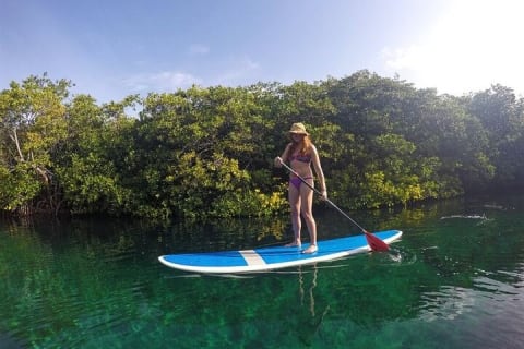 Tulum Reef Snorkel, ATV/Scooter/E-bike, Cenote Swim/Snorkel/Paddle Board + Lunch — photo 6