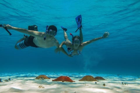 El Cielo the Breathtaking Snorkel Tour of Cozumel Cielito Beach & Lunch Included — photo 5