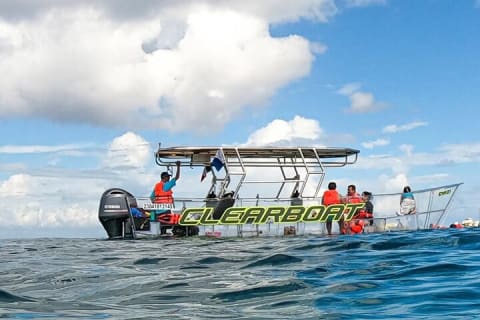 Explore the Caribbean in Amazing Clear Boat Tour in Cozumel — photo 3