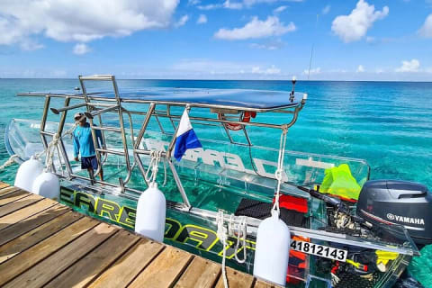 Explore the Caribbean in Amazing Clear Boat Tour in Cozumel — photo 6