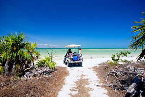 Holbox Tour with Ferry transportation and lunch included — photo 1