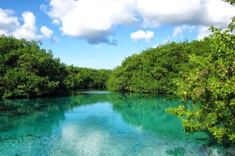 Reef and Cenote Snorkeling Experience — photo 2
