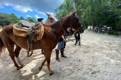 HAVE FUN in the JUNGLE PARK with horseback riding, ATV, zip lines and cenote — photo 9