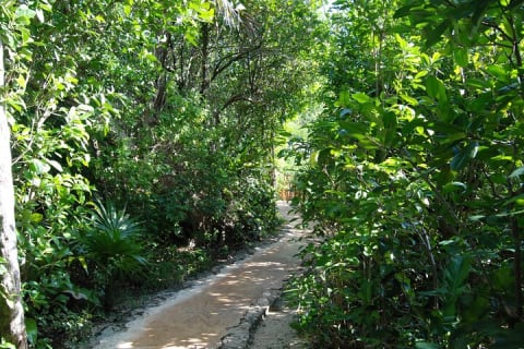 Fantastic Xel-Ha All Inclusive Tour only from Tulum — photo 15
