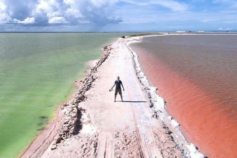 Breathtaking Pink lake Las Coloradas and Rio lagartos from Tulum — photo 4
