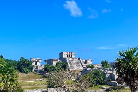 All-Inclusive! Tulum Ruins, Tequila Tasting + Swim in 3 Cenotes in Small Group! — photo 8