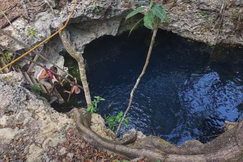 Tulum Cenotes Discovery: Swim & Snorkel in Nature’s Pools — photo 10
