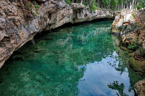 Tulum Cenotes Discovery: Swim & Snorkel in Nature’s Pools — photo 12