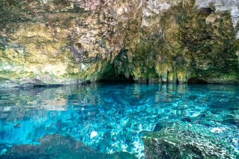Tulum Cenotes Discovery: Swim & Snorkel in Nature’s Pools — photo 2
