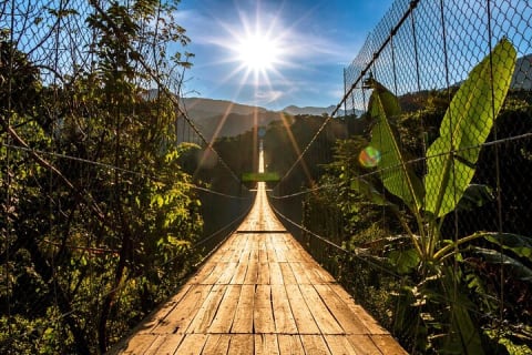 Puerto Vallarta Zipline, Mule ride and Jorullo Bridge Walking — photo 8