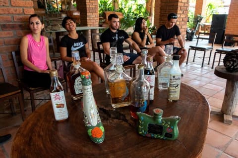 Puerto Vallarta Zipline, Mule ride and Jorullo Bridge Walking — photo 9