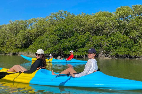 Tour the Mangroves in Kayak by Isla Holbox — photo 6