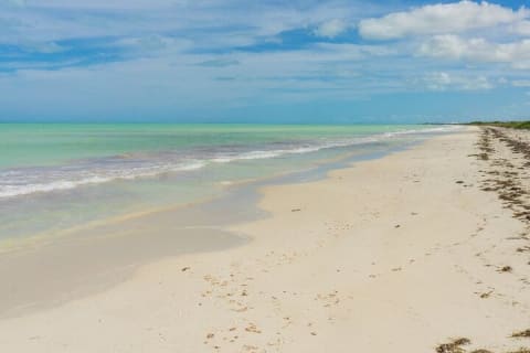 Las Coloradas, plage de Cancunito et Río Lagartos depuis Mérida — photo 11