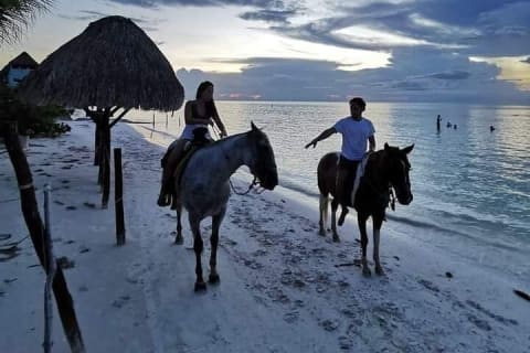 Horseback Riding on the Beaches of Holbox — photo 3