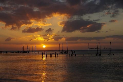Tour privado al atardecer en Isla Holbox — photo 1
