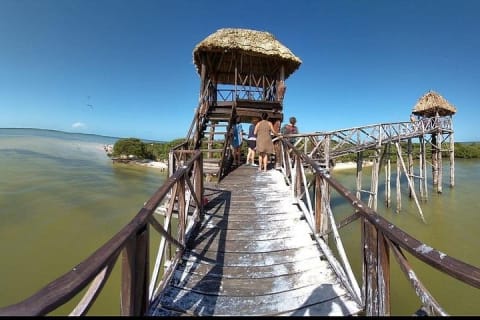 Tour privado al atardecer en Isla Holbox — photo 4