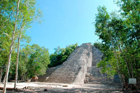 Deluxe Mayan Adventure! Tulum Ruins, Coba, Cenote from Tulum City — photo 3