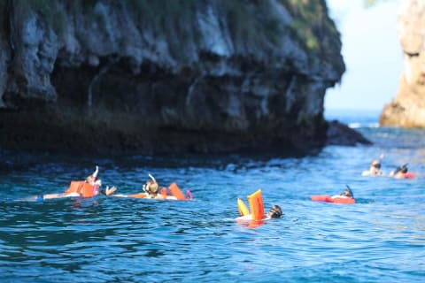 Tour de snorkel en Puerto Vallarta en Los Arcos — photo 3