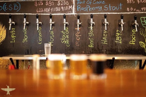 Tour des brasseries en bus depuis le Mexique — photo 10