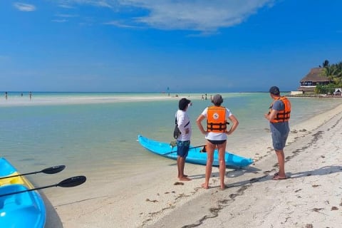 Tour the Mangroves in Kayak by Isla Holbox — photo 8