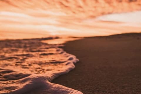 Los Cabos Sunset Turtle Release Conservation Experience — photo 8
