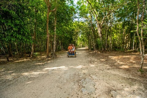 Tulum & Coba Ruins with Cenote Swim Tour from Playa del Carmen — photo 9