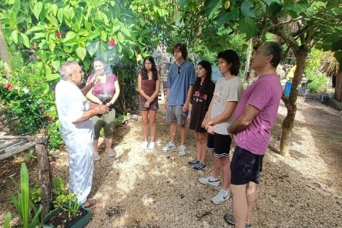 Private Mayan Food Cooking Class, Cenote and Coba Ruins — photo 2