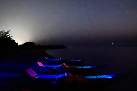 Discover Bioluminescence in Kayak with a Guide — photo 4