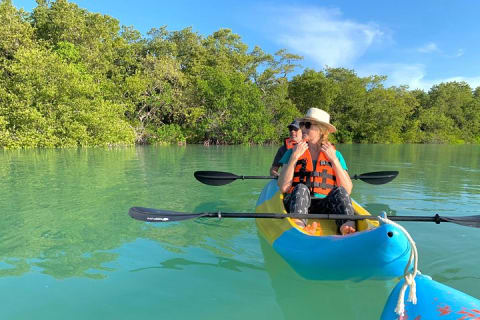 Tour the Mangroves in Kayak by Isla Holbox — photo 14
