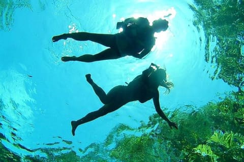 Excursion privée VIP dans les cénotes — photo 3