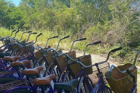 Mérida : 4 cenotes de Santa Bárbara et vélos avec déjeuner — photo 9