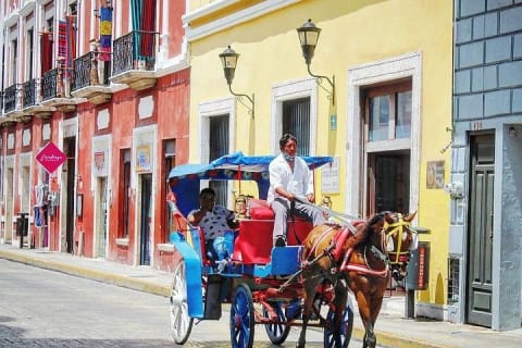 Half-Day Tour to Merida & its Traditional Gastronomy — photo 1