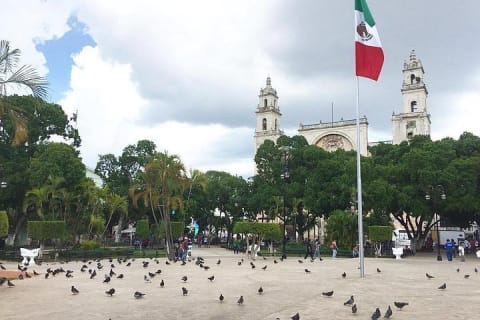 Half-Day Tour to Merida & its Traditional Gastronomy — photo 10