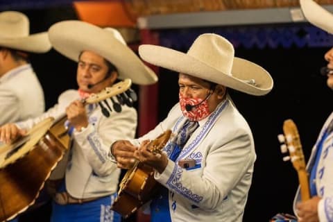 Xoximilco Tour Mexican Party with Transportation from Cancun & Riviera Maya — photo 13