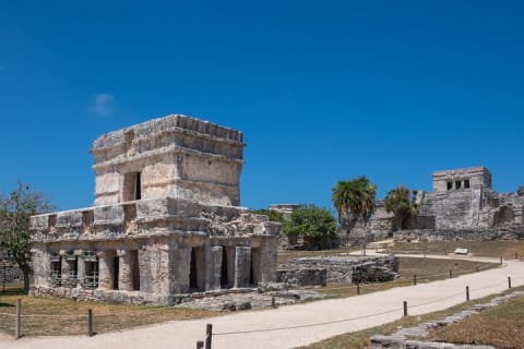 Tulum Day-trip to Mayan Temples and Cenote Swim — photo 6