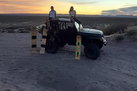 Sandboarding in the Mogote Dunes in Mexico — photo 14