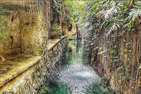 Excursion d'une journée dans les haciendas du Yucatán et leurs incroyables cénotes — photo 2