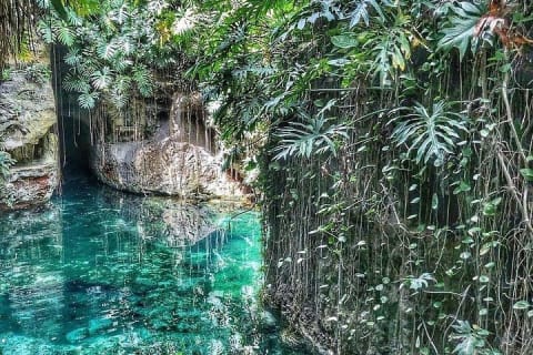 Excursion d'une journée dans les haciendas du Yucatán et leurs incroyables cénotes — photo 3