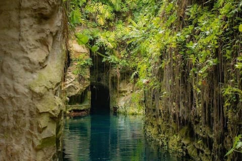 Excursion d'une journée dans les haciendas du Yucatán et leurs incroyables cénotes — photo 10