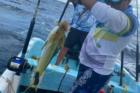 Sport Fishing in Tulum — photo 5