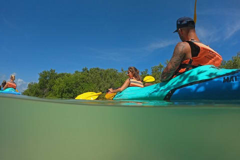 Kayaking Tour Through the Mangroves in Isla Holbox — photo 6