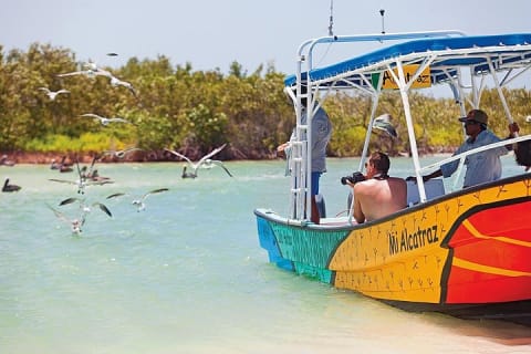 Relaxing private boat tour to Cabo Catoche with fishing — photo 1