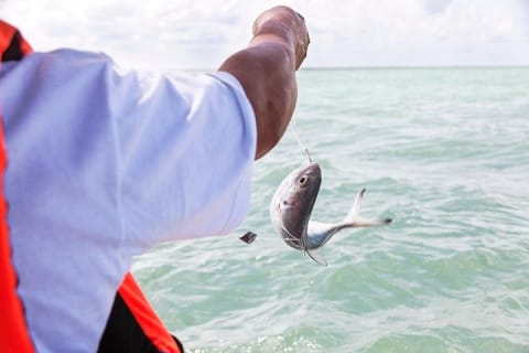 Relaxing private boat tour to Cabo Catoche with fishing — photo 9