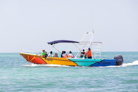 Whale Shark and Snorkeling Adventure from Isla Holbox — photo 6