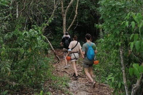 Tulum Monkey Sanctuary Tour Punta Laguna — photo 1