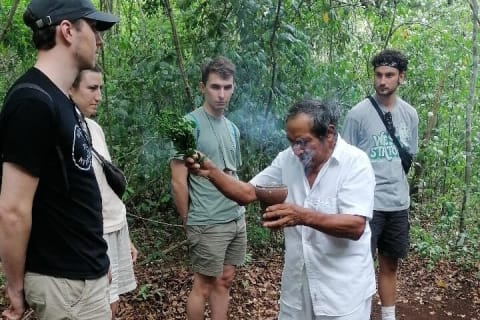 Tulum Monkey Sanctuary Tour Punta Laguna — photo 4