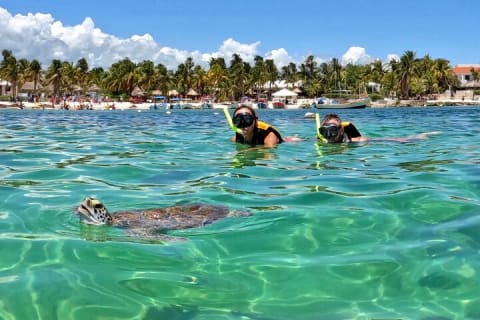 Akumal : snorkeling et photos avec les tortues — photo 1