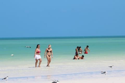 Holbox Mosquito Adventure by ferry from Riviera Maya & Tulum — photo 15