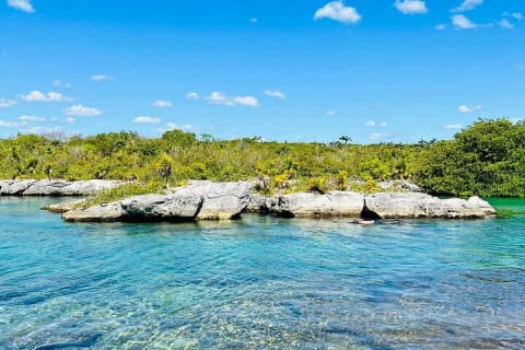 Mayan Adventure - The Best Experience from Riviera Maya with Transportation — photo 8
